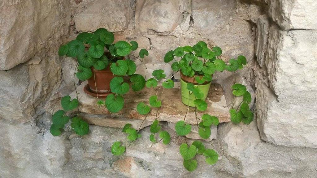 Dobra Apartments Trogir Eksteriør billede